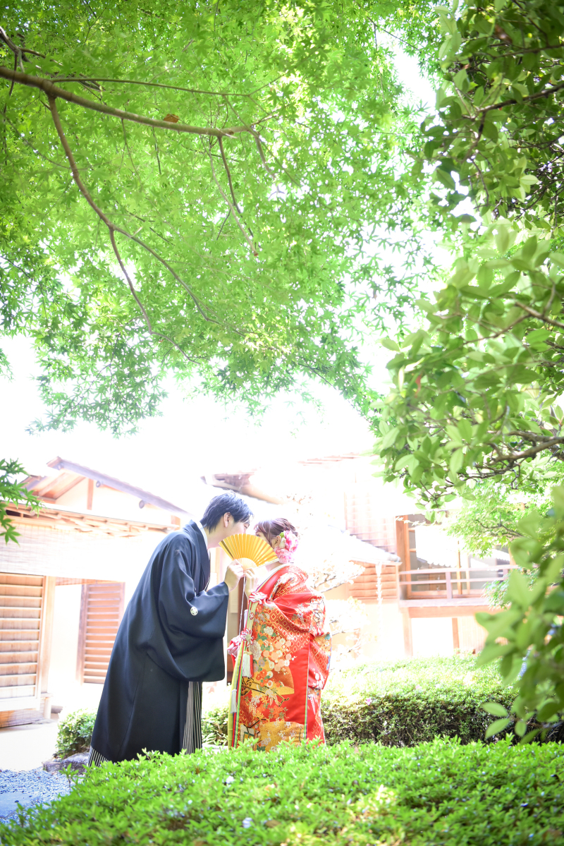 光につつまれて・・・