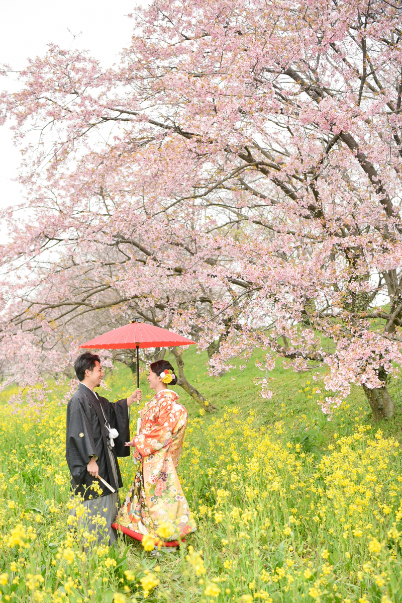 コントラスト・・・♡