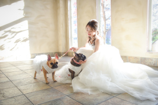 キヌヤ・ブライダルスクエア フェリチタ 熊谷店_ペット★家族★マタニティ