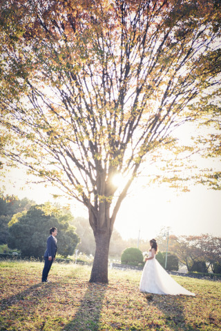 キヌヤ・ブライダルスクエア フェリチタ 熊谷店_洋装公園ロケーション　
