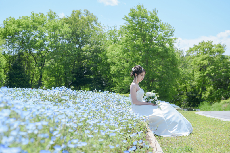 ネモフィラロケーションフォトプラン