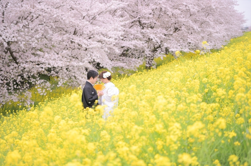 【桜フォト前撮りプレゼント付き！】家族婚＆フォトウェディングプラン