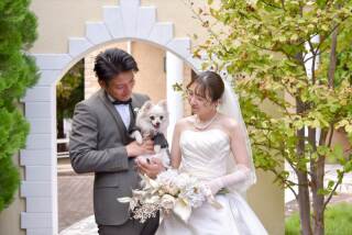 【ペットも一緒に撮影できる】洋装3着ロケーションプラン