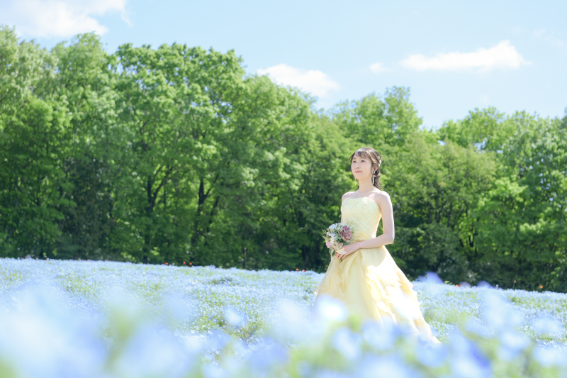 ネモフィラロケーションフォトプラン