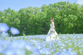 ネモフィラロケーションフォトプラン