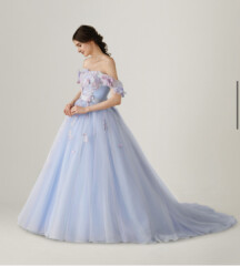 ブルー・フィカス