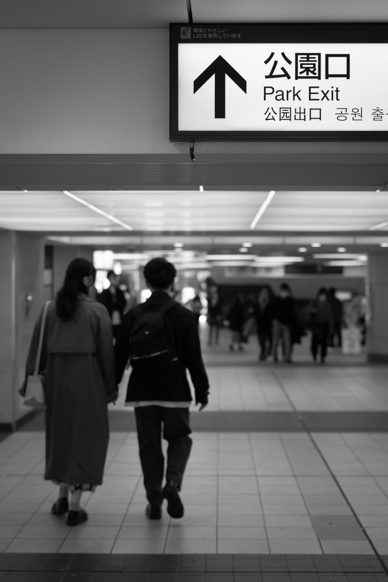 お散歩しながら