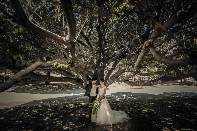 迫力あるショットも！！！