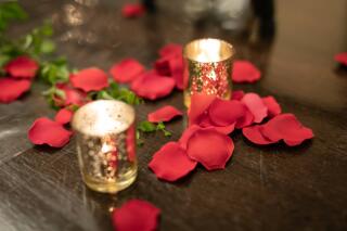 テーマは美女と野獣