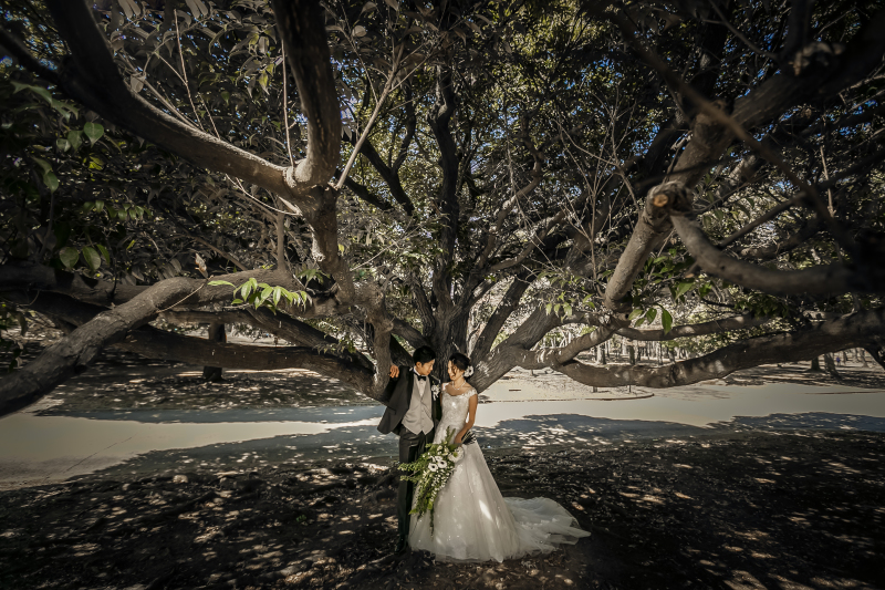 様々なロケーションに対応可能