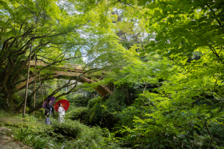 和装ロケーション