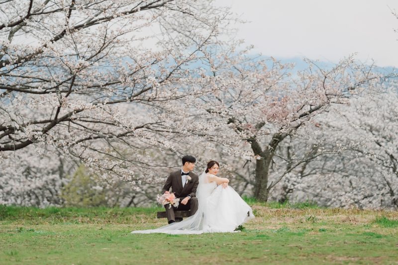 【3月1日〜4月末日までの撮影限定】2着がお得!春のドリームキャンペーン|洋装ロケ+洋装スタジオ(衣装2着・全データ)