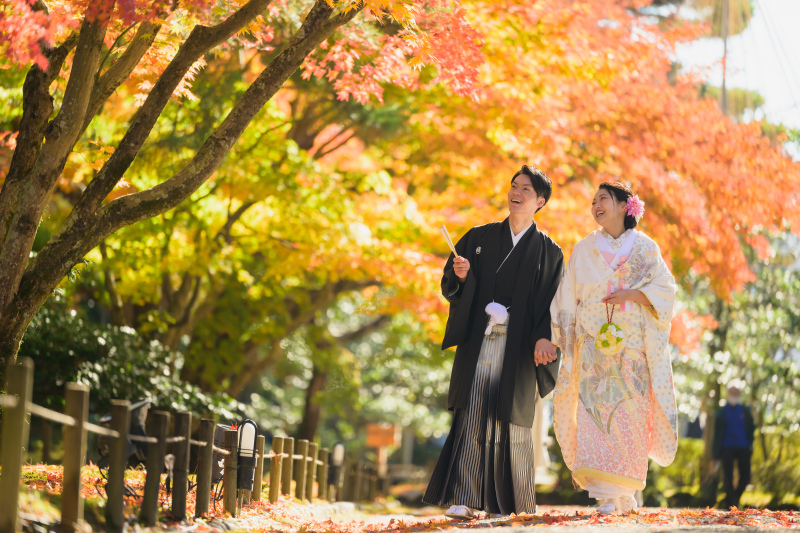 紅葉真っ盛り