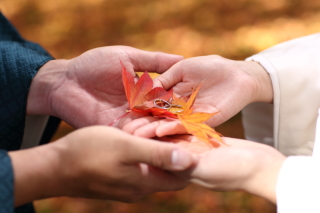 紅葉ロケーション撮影