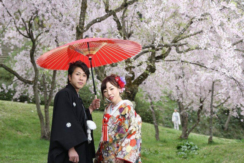 桜探して卯辰山