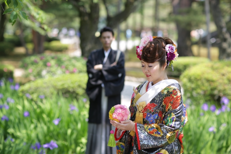 曲水のカキツバタ