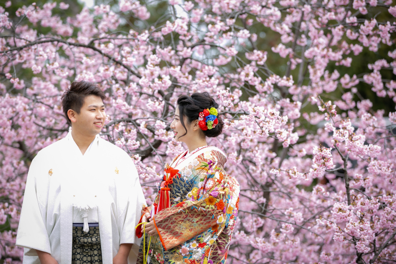 もう桜で撮ってます!
