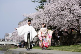 金沢　桜ロケーション撮影