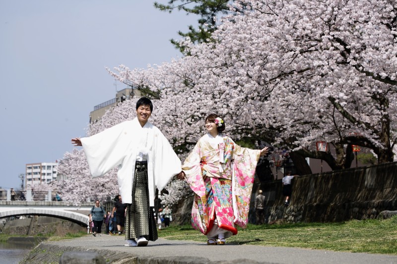 金沢　桜ロケーション撮影