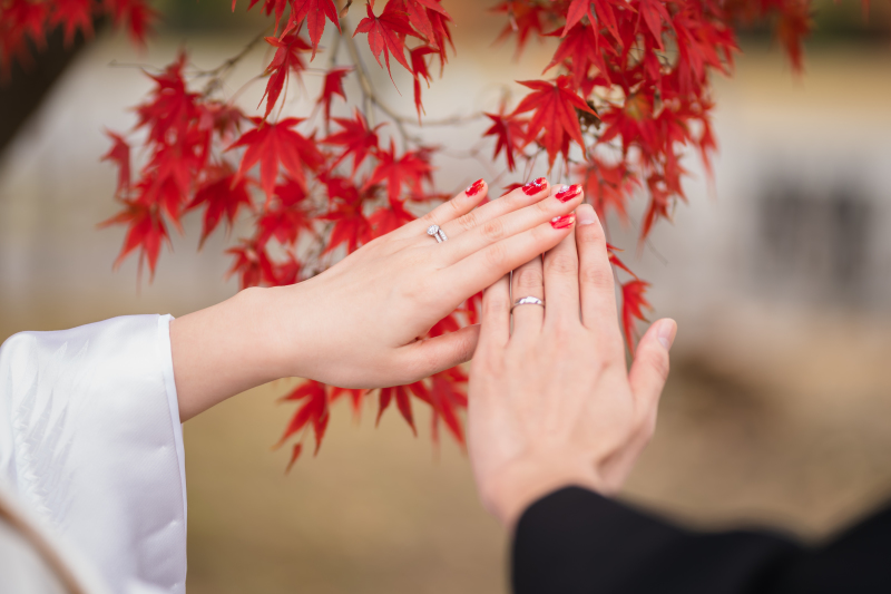 紅葉