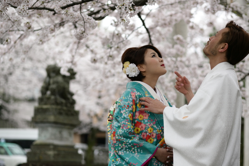 青の打掛いいね！