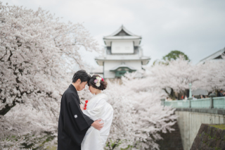 桜　満開の中で