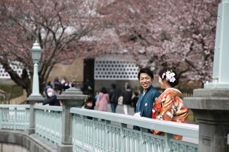 今年の桜は早かった