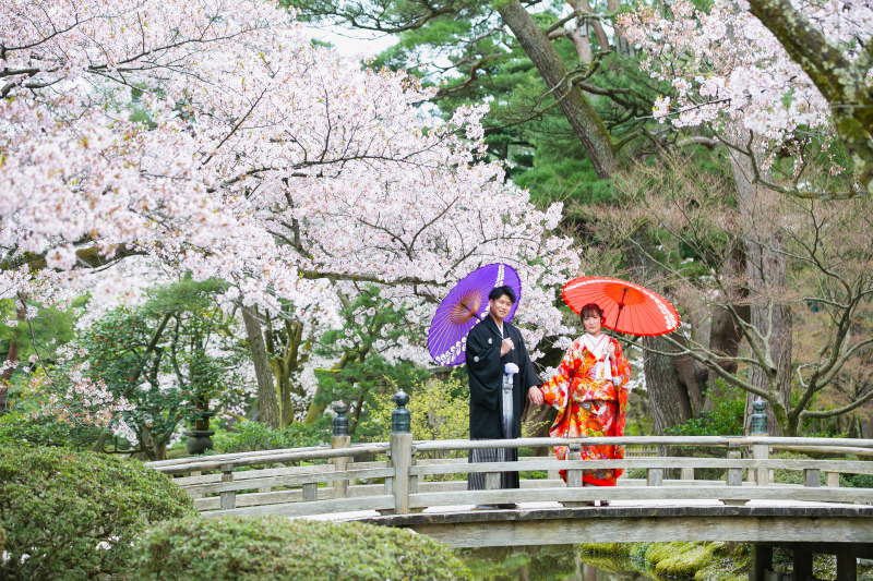 桜の季節
