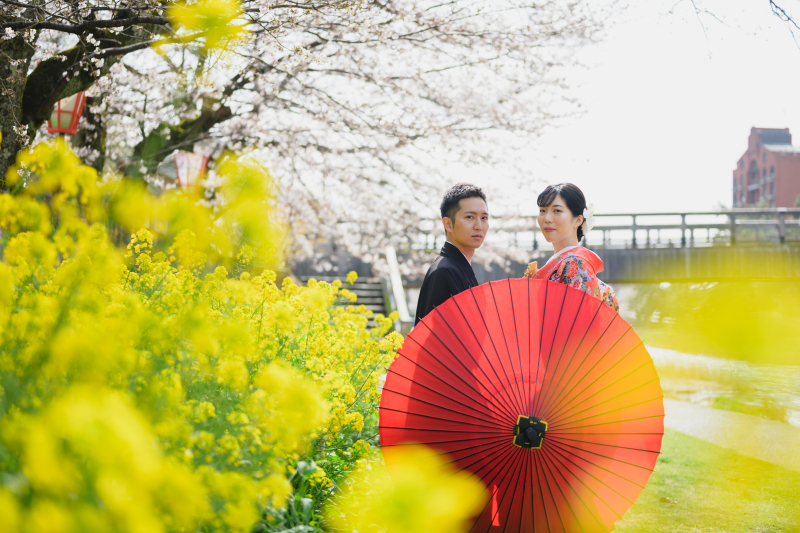 菜の花が有る。