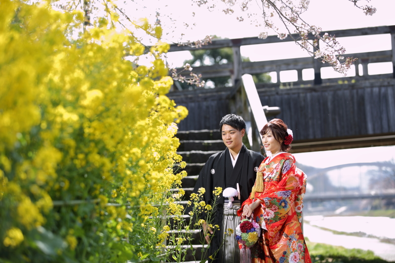 菜の花