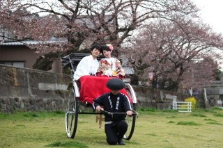 金沢桜ロケーション撮影