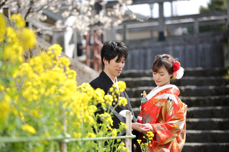 菜の花