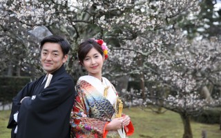 兼六園の梅林は綺麗です