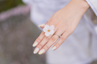 ひがし茶屋街と兼六園にて