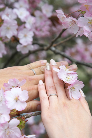 兼六園にて撮影