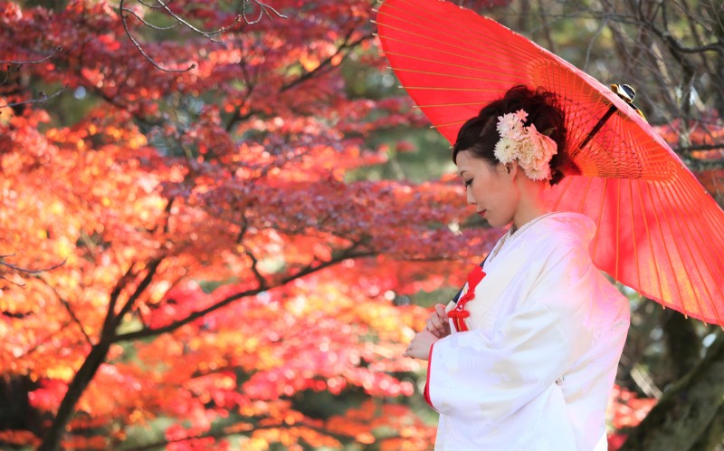 燃えるような赤