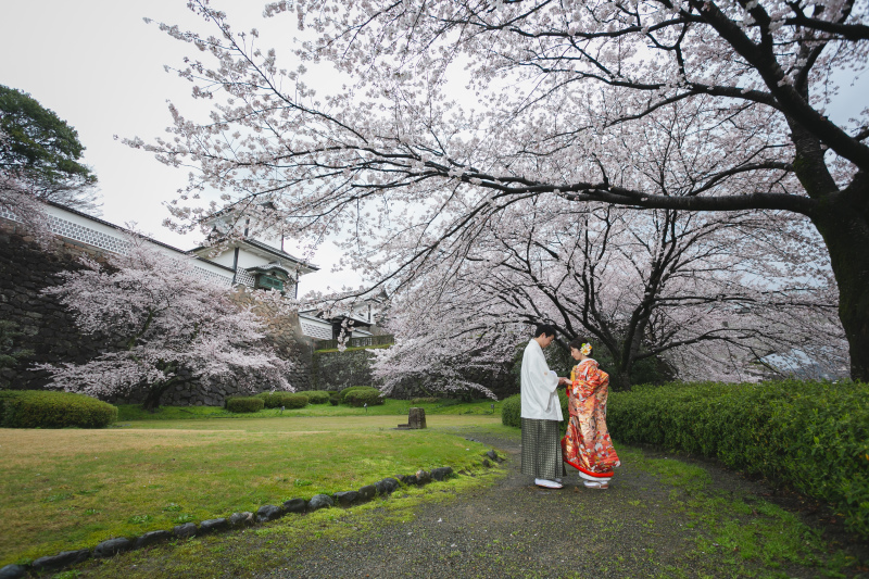 桜満開