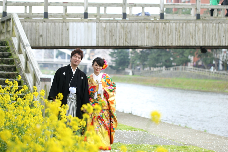 菜の花と梅の橋