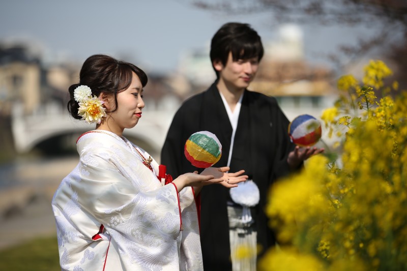 菜の花が咲いています