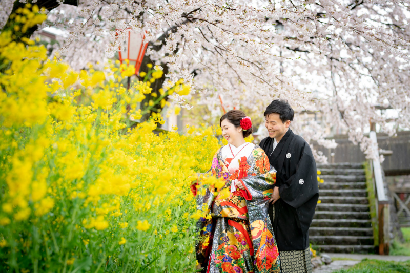 満開の桜