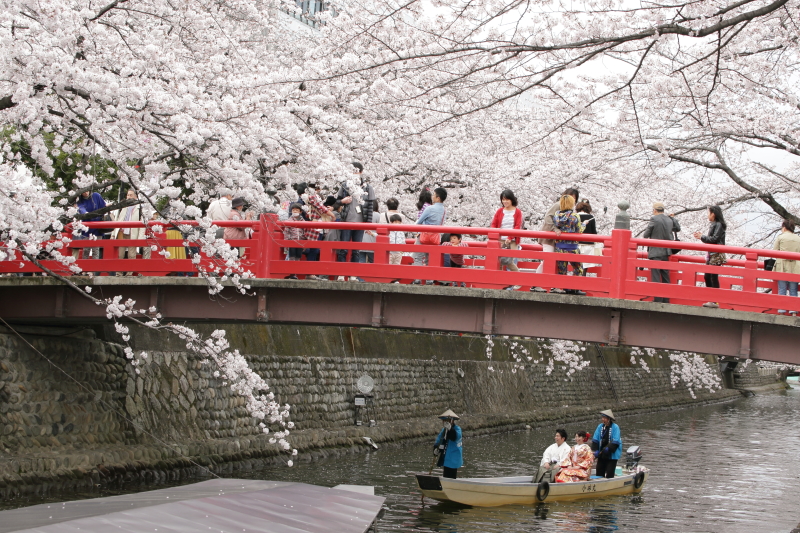 赤い橋が綺麗です