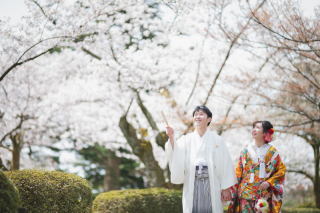 2020.4.7の桜ロケーション撮影