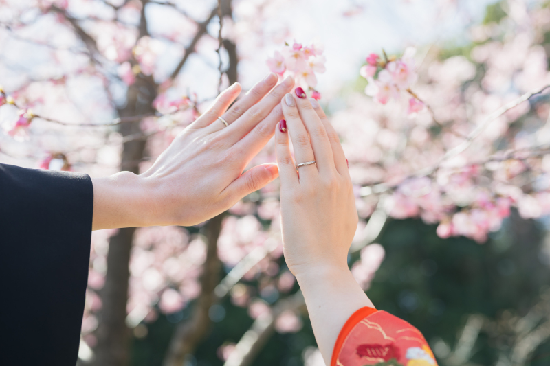 桜と撮りたい