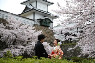 金沢桜ロケーション撮影