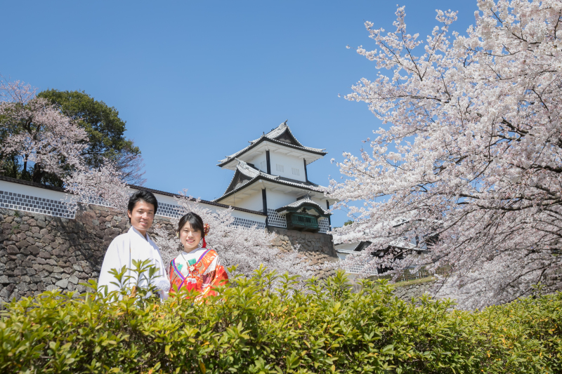金沢の桜