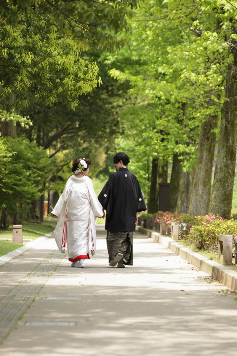 アメリカ楓の並木道