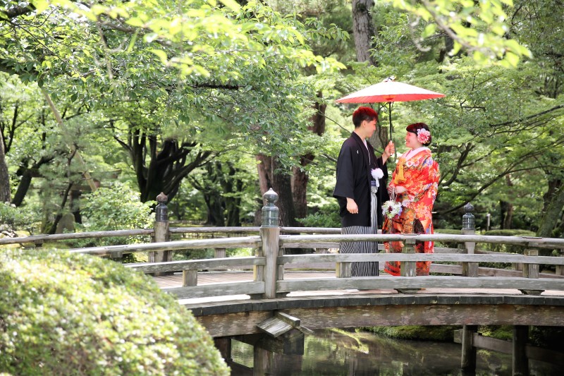 緑が綺麗ですね