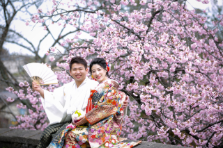 金沢　もう満開？？