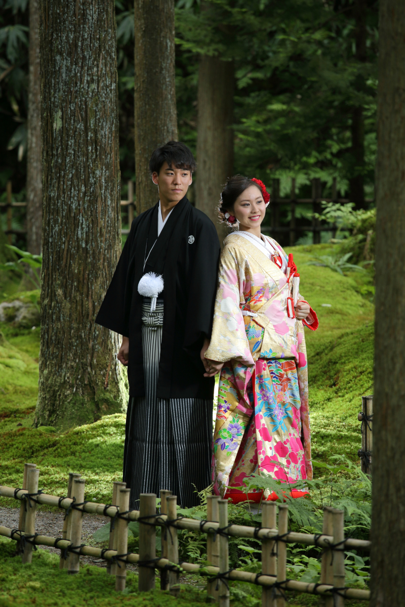 光のコントラスト