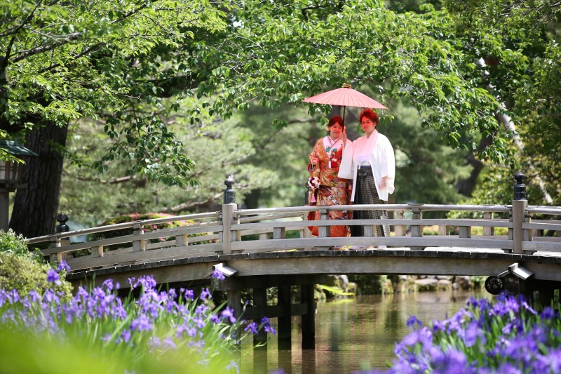 カキツバタも綺麗
